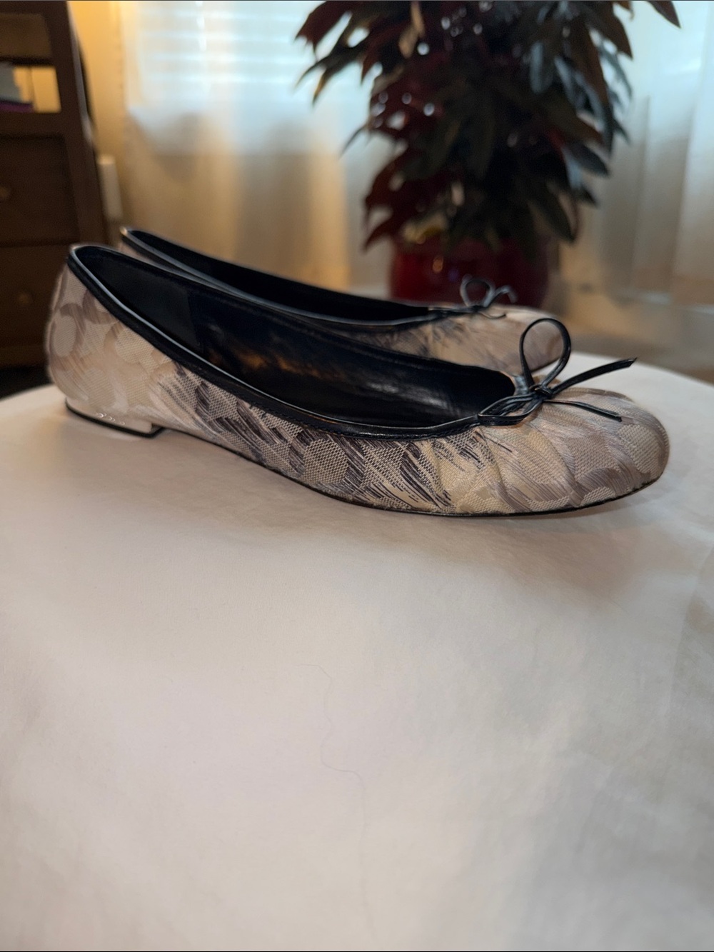 Coach Navy and Cream Ikat Ballet Flats